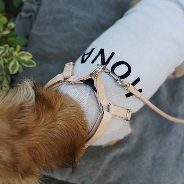 試着のみ rurumu: ニットハーネス rurumu: ハーネス