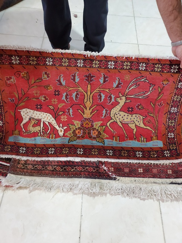 絨毯クエスト48【No.46】 ※現在、こちらの商品はイランに置いてあります。ご希望の方は先ずは在庫のご確認をお願いします。