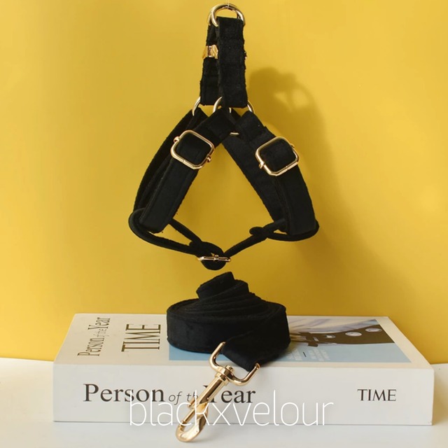 【ブラック×ベロア】迷子札刻印サービス・犬用ハーネス&リード