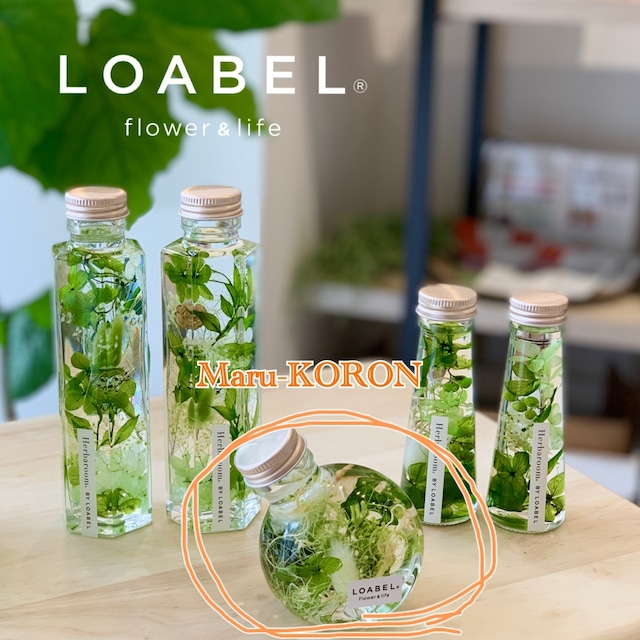 爽やかグリーン 至高のインテリアハーバリウム《LOABEL GREEN HERBARIUM》}