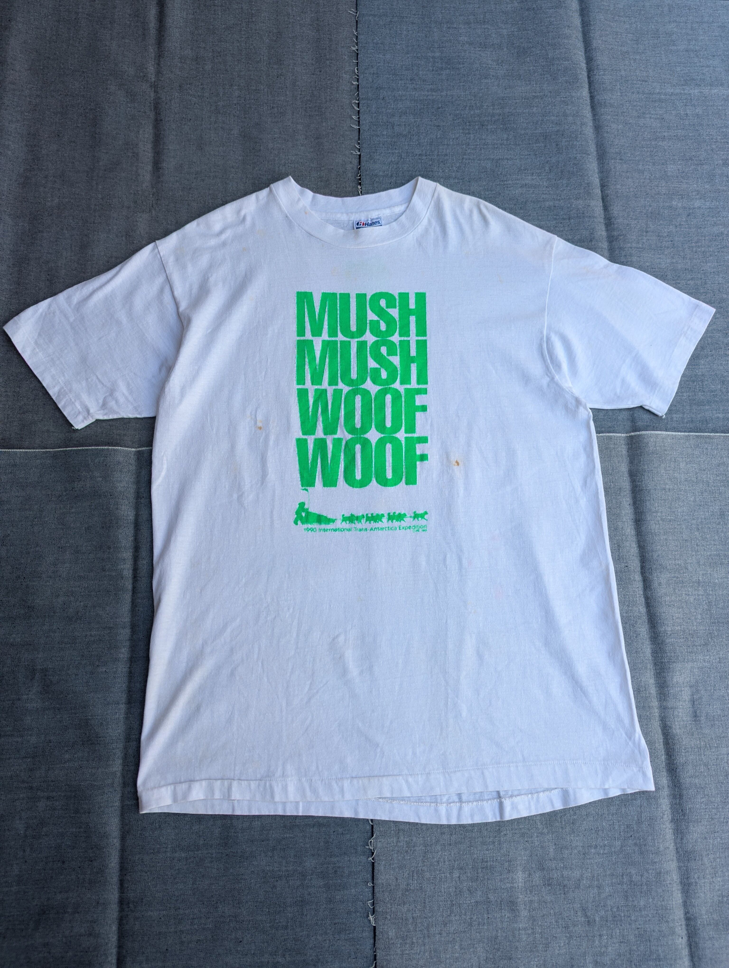 90s the north face 1990 INTERNATIONAL TRANS-ANTARCTICA EXPEDITION tee 小岩店