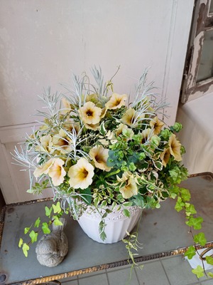 ペチュニアステファニーとグリーンの寄せ植えギャザリング