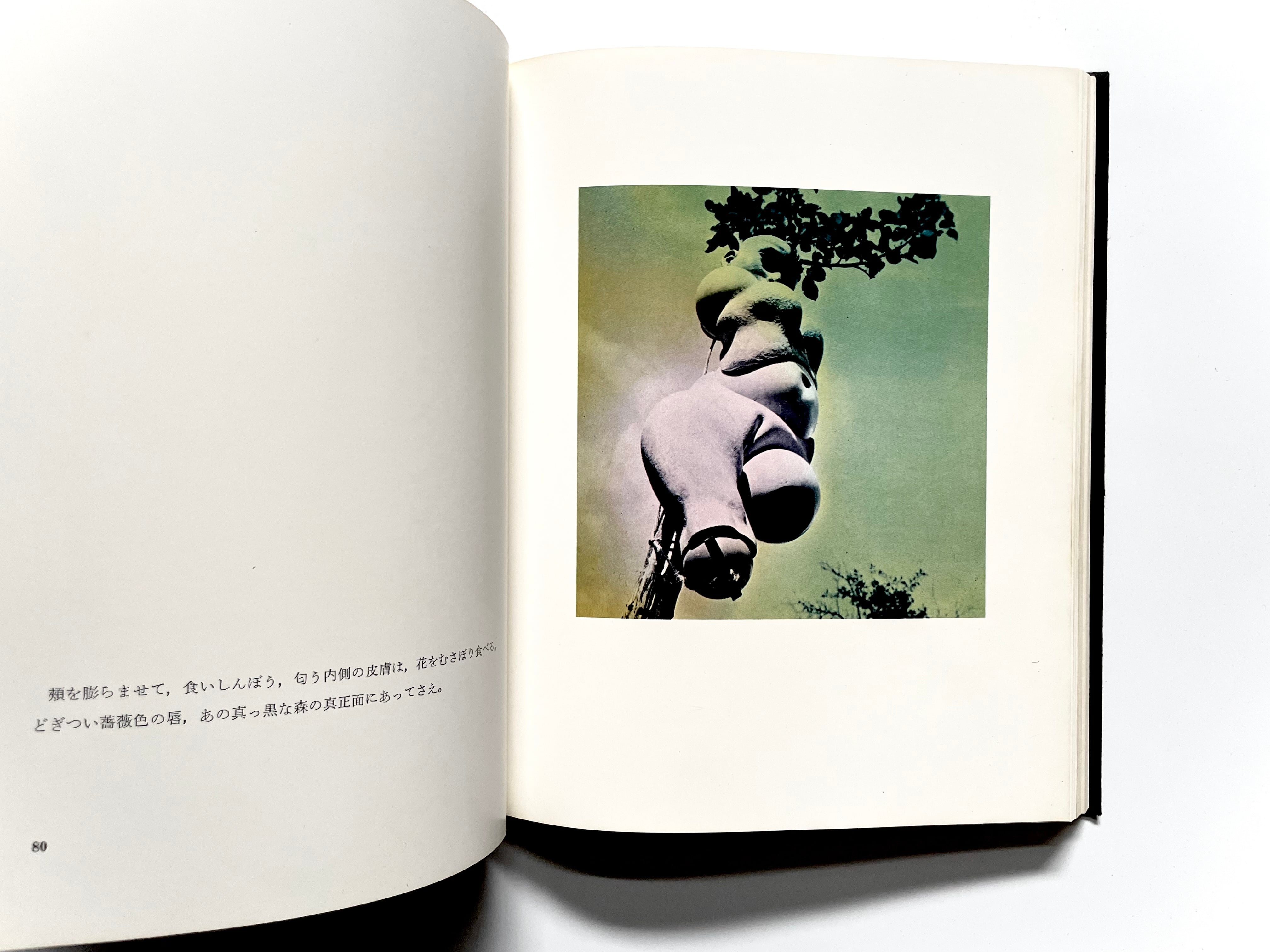 イマージュの解剖学 ／ ハンス・ベルメール - Hans Bellmer | 古書e109