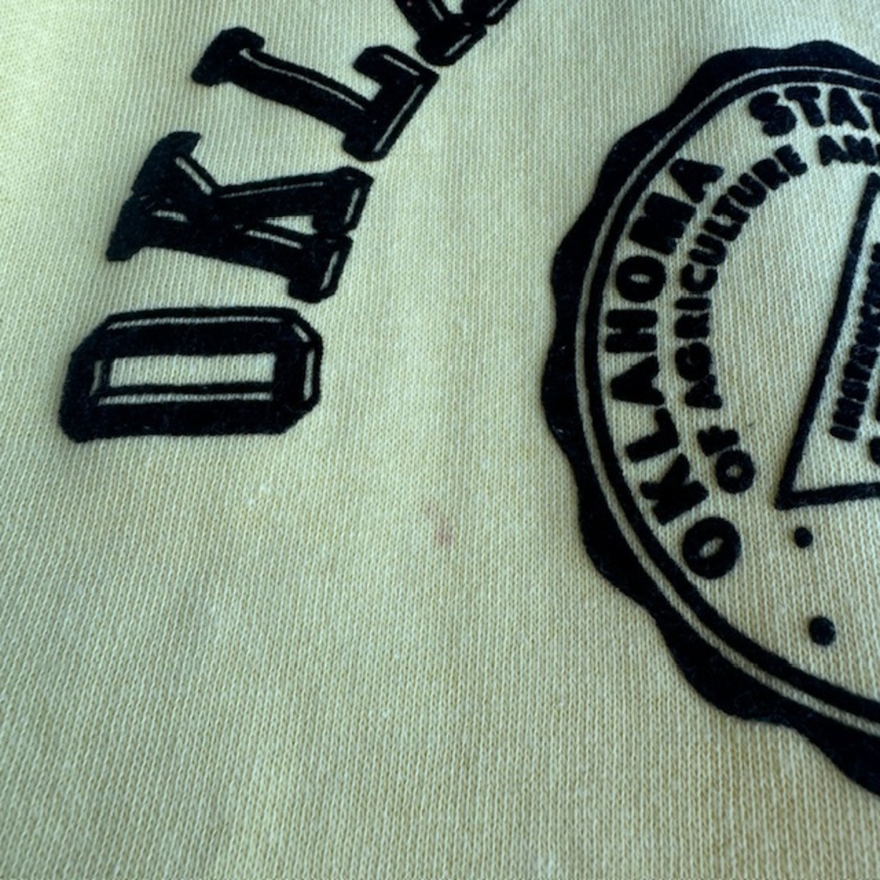 60s〜 半袖ヴィンテージスウェット フロッキープリント NOS 画像6