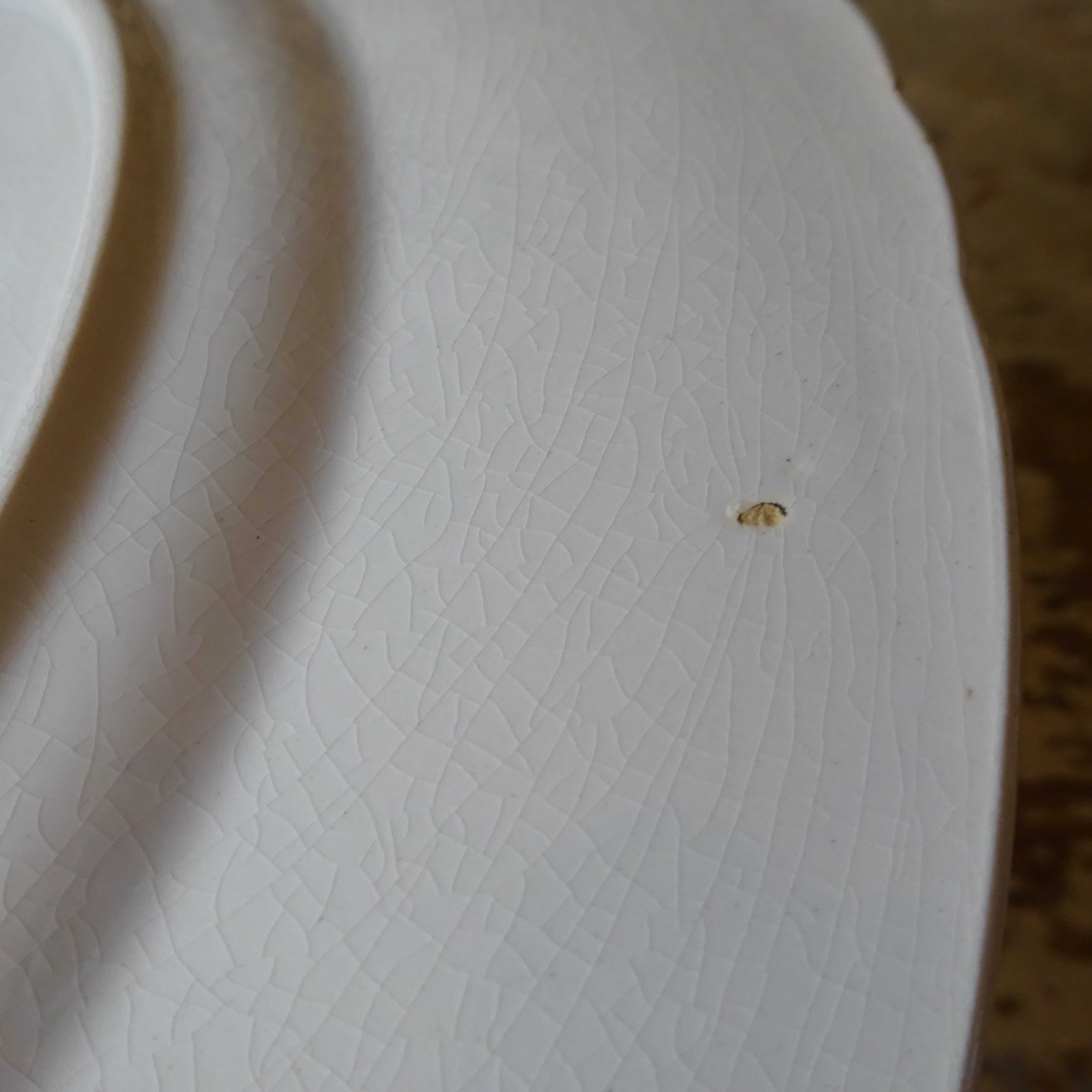 【 Nouveauté 】☆U & C SARREGUEMINES modèle《AÏDA》assiette plate (E)