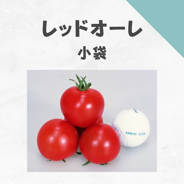 レッドオーレ　トマト種子・小袋