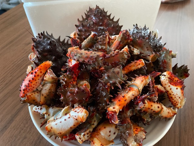 産地直送 北海道厚岸産 鉄砲汁専用 花咲ガニ1kg ボイル冷凍 マクベリーの ひがし北海道 おいしいものショップ 産地直送 北海道厚岸産 鉄砲汁専用 花咲ガニ1kg ボイル冷凍 マクベリーの ひがし北海道 おいしいものショップ