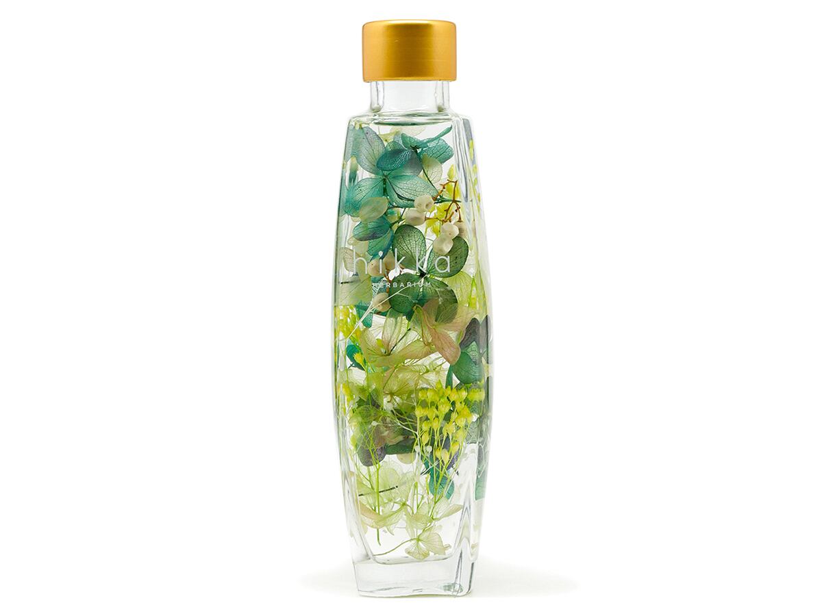 Hikka ハーバリウムtype01 グリーン Hikka Hikka ハーバリウムtype01 グリーン Hikka