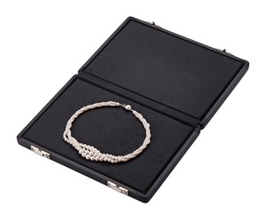 フリーケースL　両面クッション　保管・持ち運びケース　AR-5418