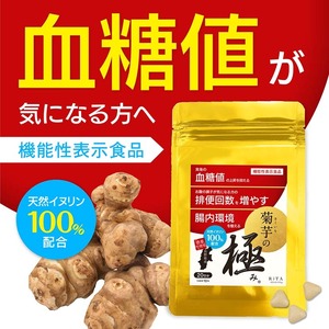 【家計応援価格】菊芋サプリ まとめ買い9袋セット イヌリン 機能性表示食品 菊芋の極み 国産 プレバイオティクス