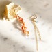 natural coral earrings