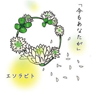 【限定弾き語りCD】今もあなたが