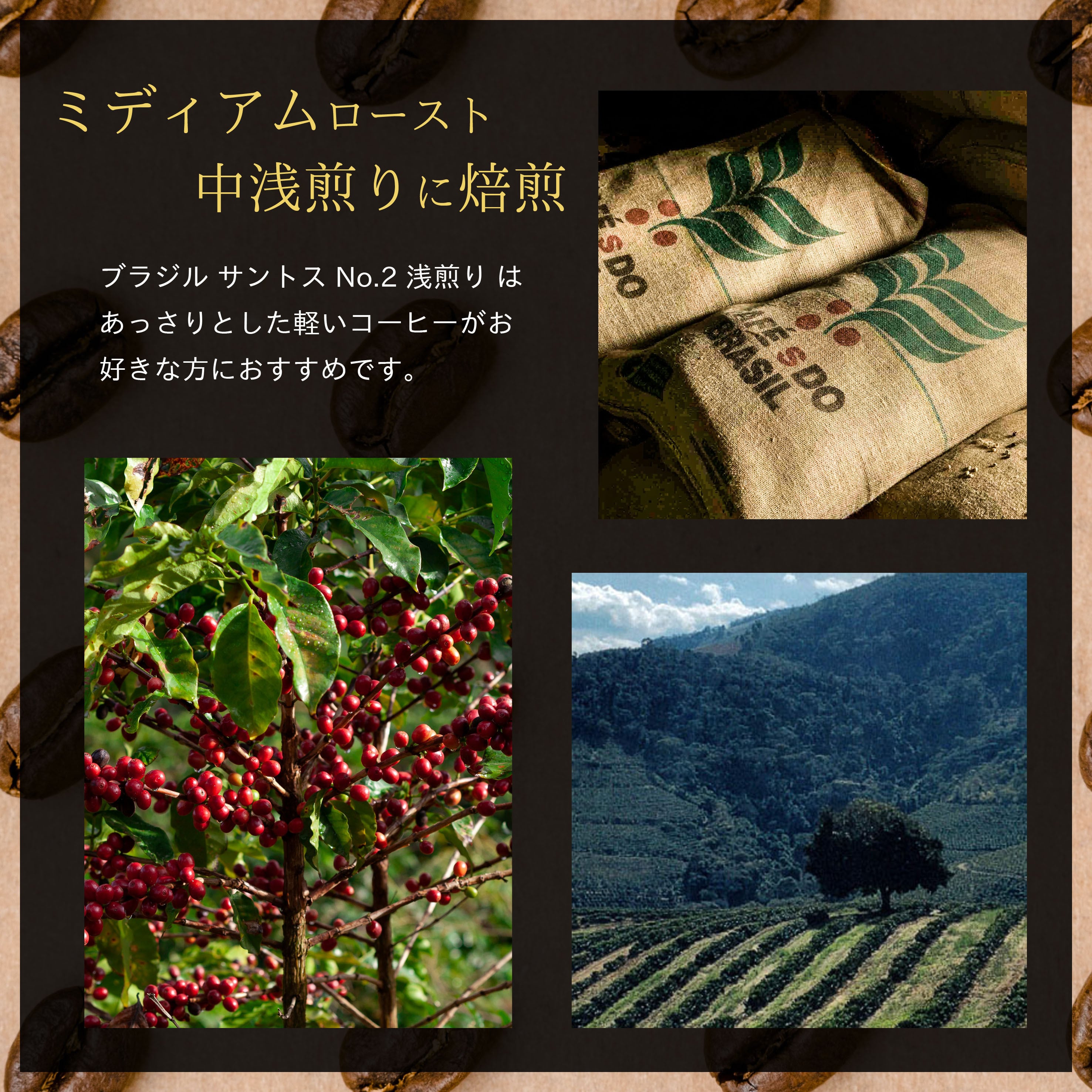 焙煎所直送】ブラジル サントス No.2 Qグレード (浅煎り) 200g 【浅
