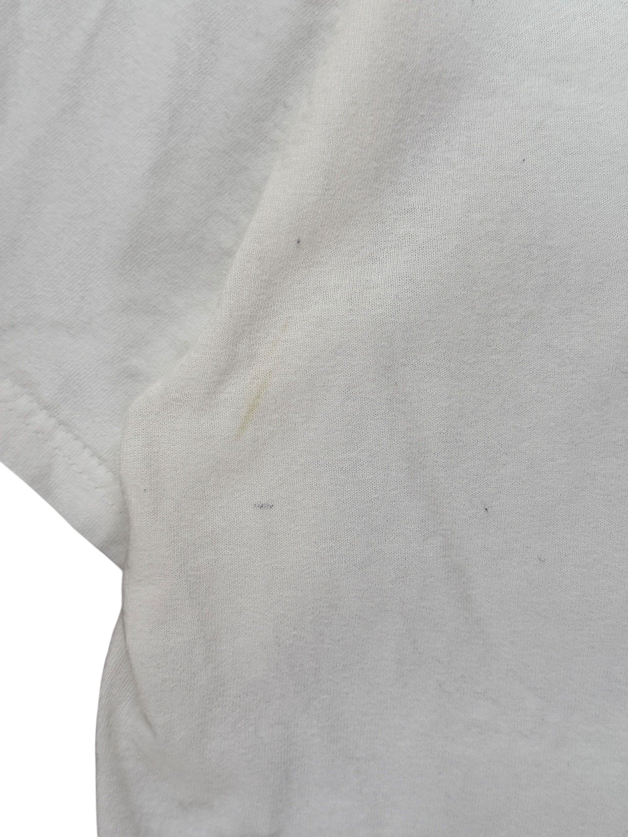 90's Hanes dog Tシャツ