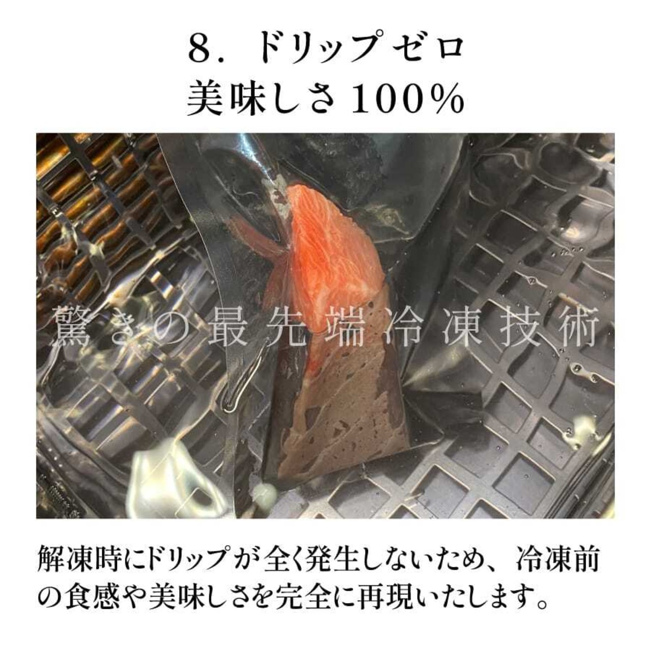 【お誕生日祝い】コトブキ海鮮丼２本セット