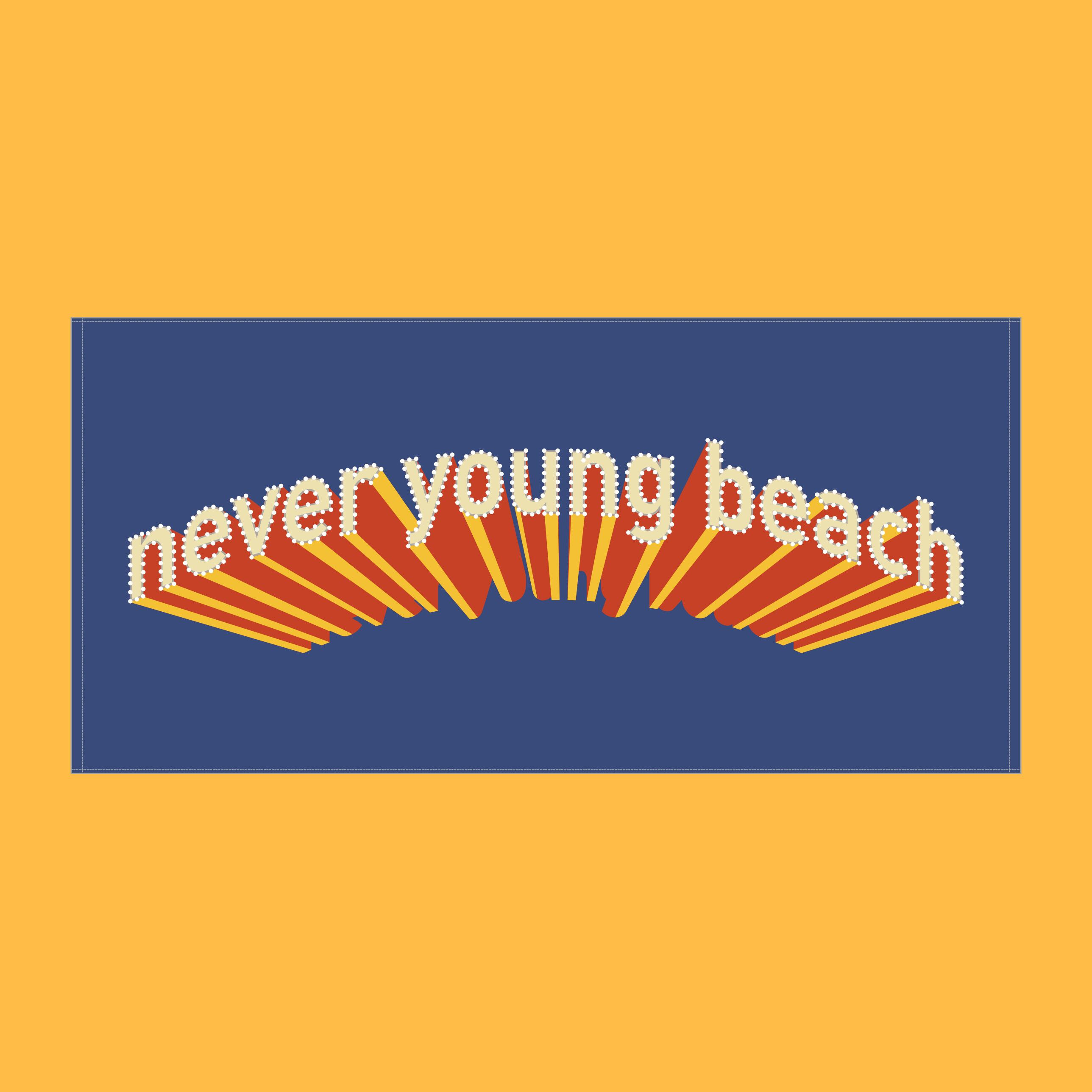 新品未開封 never young beach Salmon Tee Mサイズ never young beach