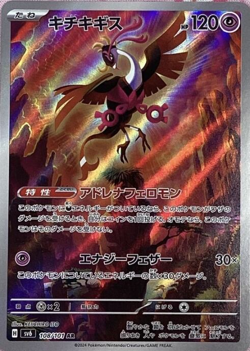 【美品】キチキギス(AR)