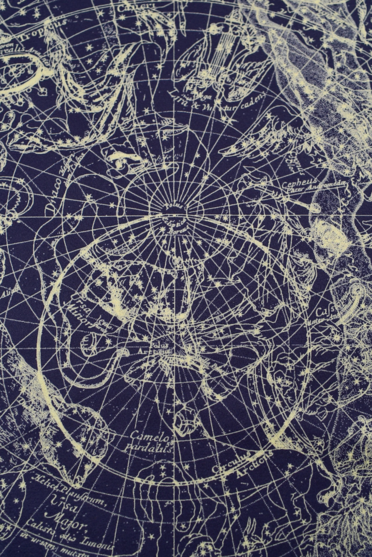 【即納】マジカルストールⅡ〜ホロスコープ柄　オフホワイト〜M22590