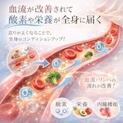 ヒップアップと骨盤サポートはお任せ♡ 骨盤ヒップガードル 光電子