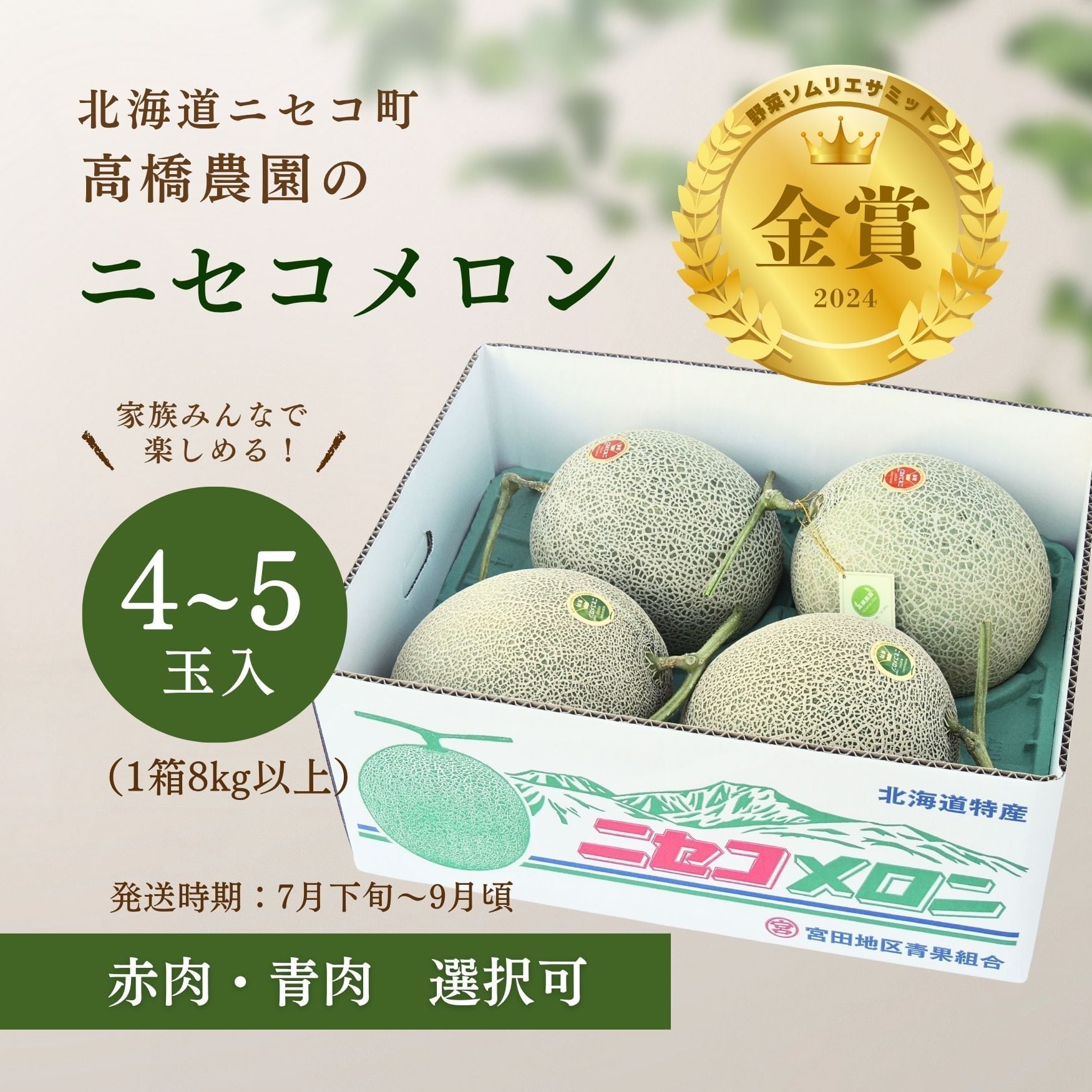 メロン4～5玉＜色指定可＞＜7月下旬～9月通常発送＞ | 北海道ニセコ町