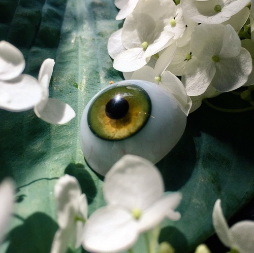 オリーブグリーンの義眼