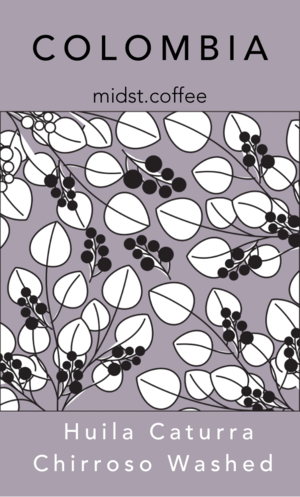 【テスト焙煎中】コロンビア ウイラ カトゥーラ・チロソ ウォッシュド　100g