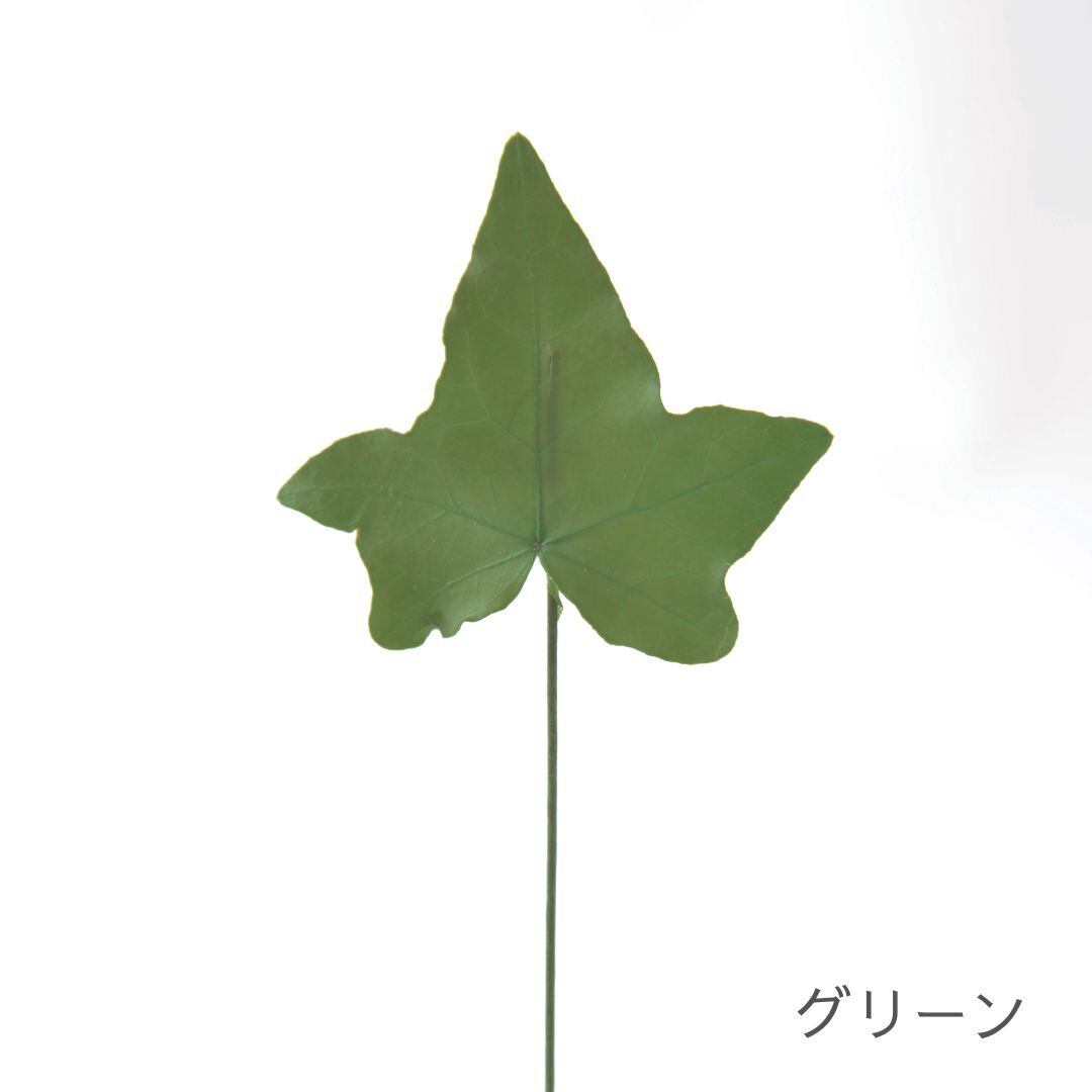 アイビーリーフW SP | +FLOWER・プラスフラワー・プリザーブド アイビーリーフW SP | +FLOWER・プラスフラワー・プリザーブド