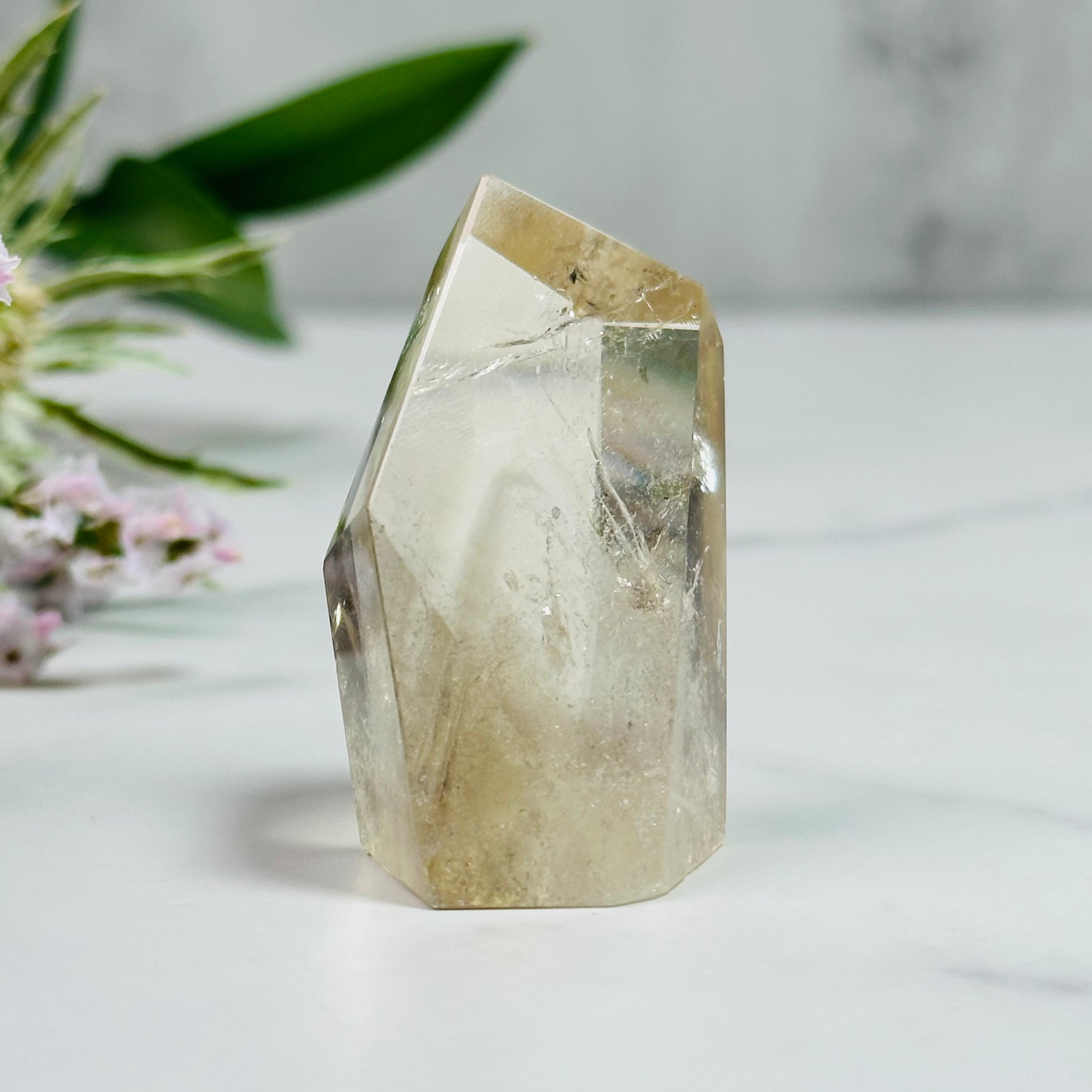 1209 龍の鱗 ドラゴンスケール レムリアンシード ソウルメイトツイン