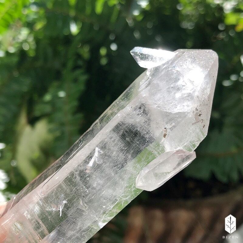 マニハール水晶 サボテンさん♪ | BIZEN Crystals