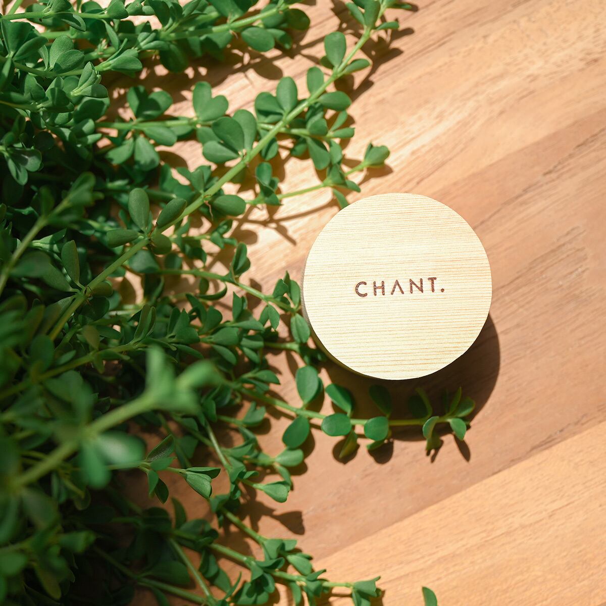 CHANT. チャント バームカレンデュラ バクチオール フラーレン 保湿