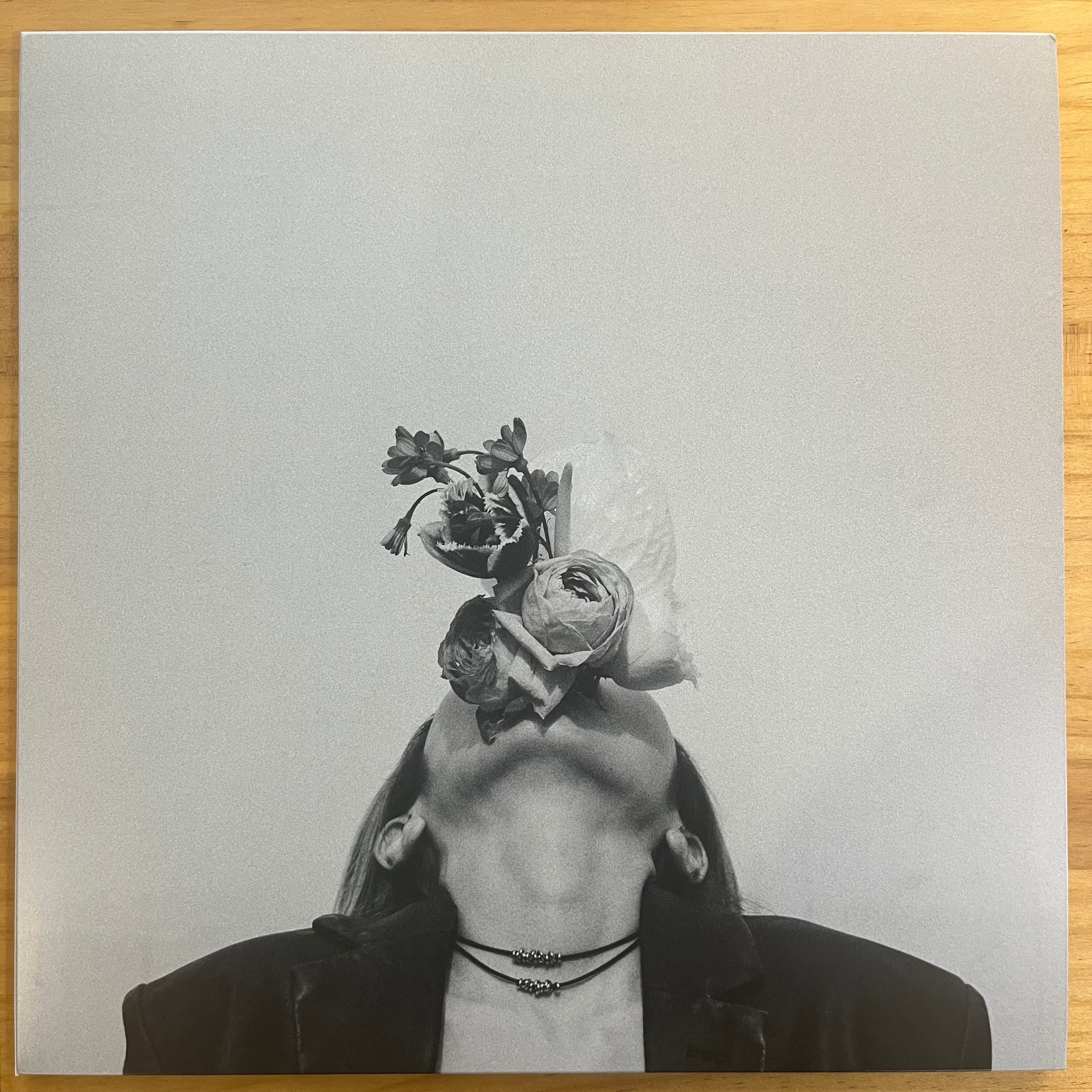 ARCHE / SUBLIMATED (LP) | レコードライク 中古レコード専門店