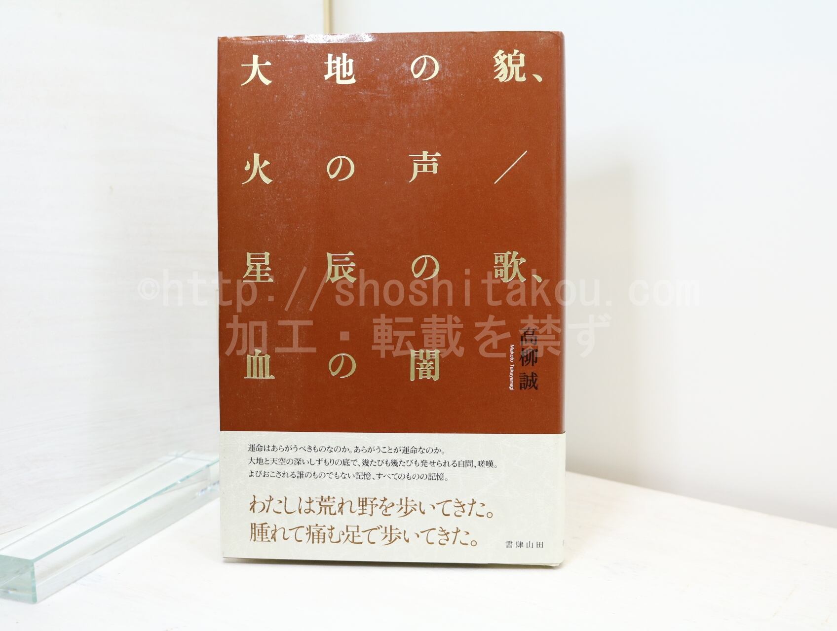 大地の貌、火の声／星辰の歌、血の闇　/　高柳誠　　[32723]