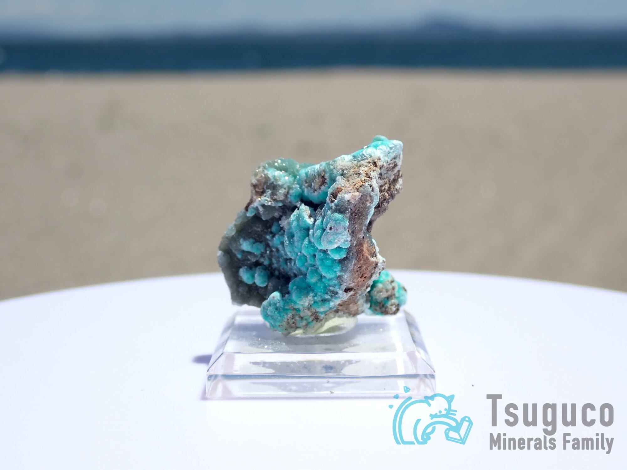 骨董品　鉱物　隕石　アメリカ　1911年 藍銅鉱 349 メキシコ - 鉱物標本・隕石標本販売のWeb専門店 エヌズ