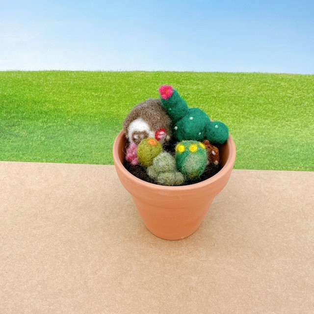 小物入れ　サボテンに乗ったテディベア　羊毛フェルト　インテリア
