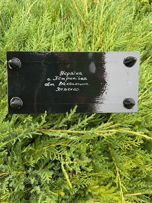 ペトリキフカ・ジュエリーボックス16 cm（Khomenko）