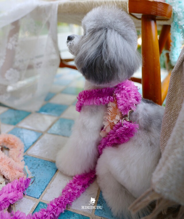 READ　‐　(BERRY)