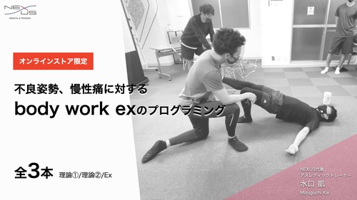 13.不良姿勢、慢性痛に対するbody work exのプログラミング