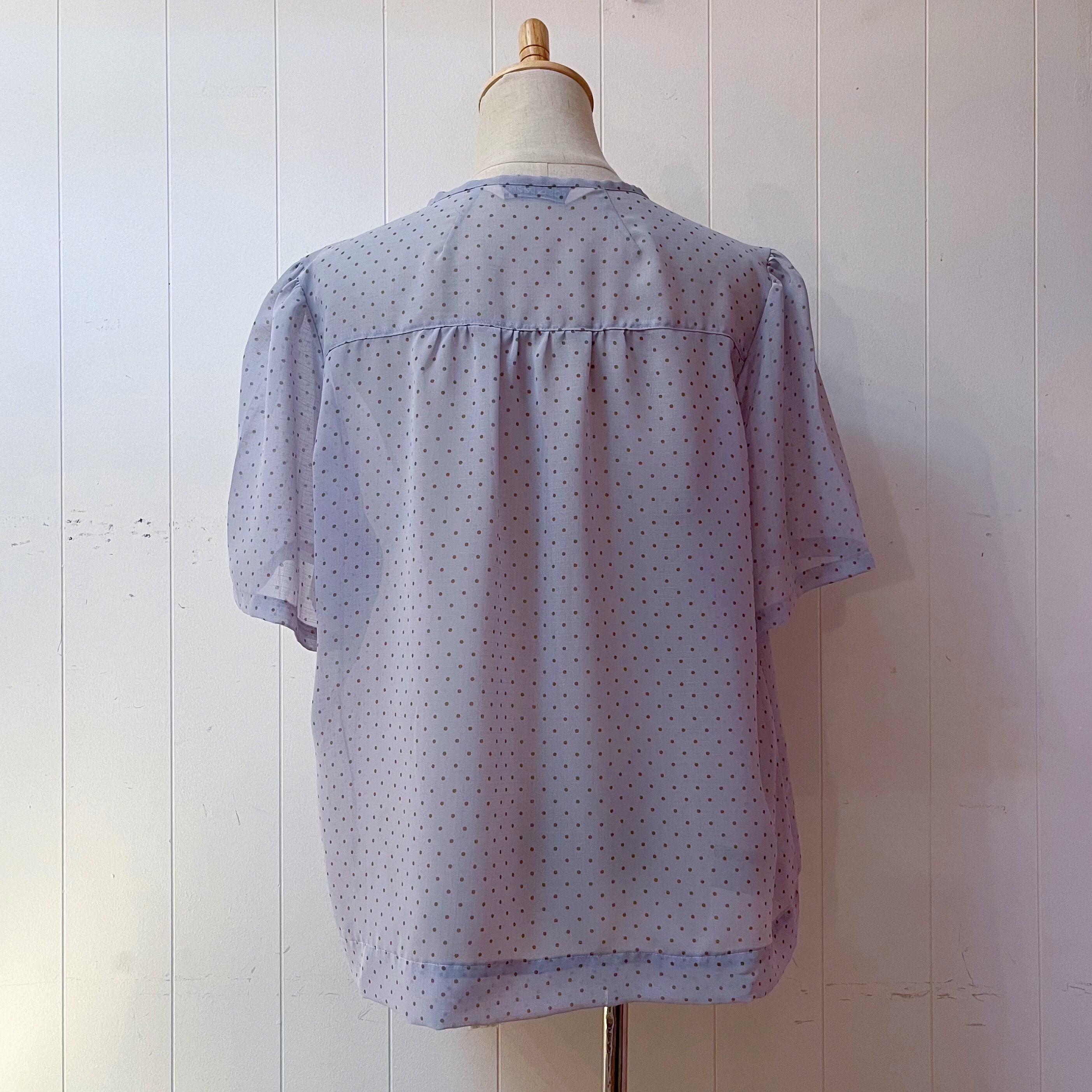light blue dot sheer blouse