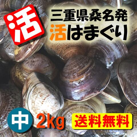 活き！アサリ5kg（国産） | しじみ屋桑名