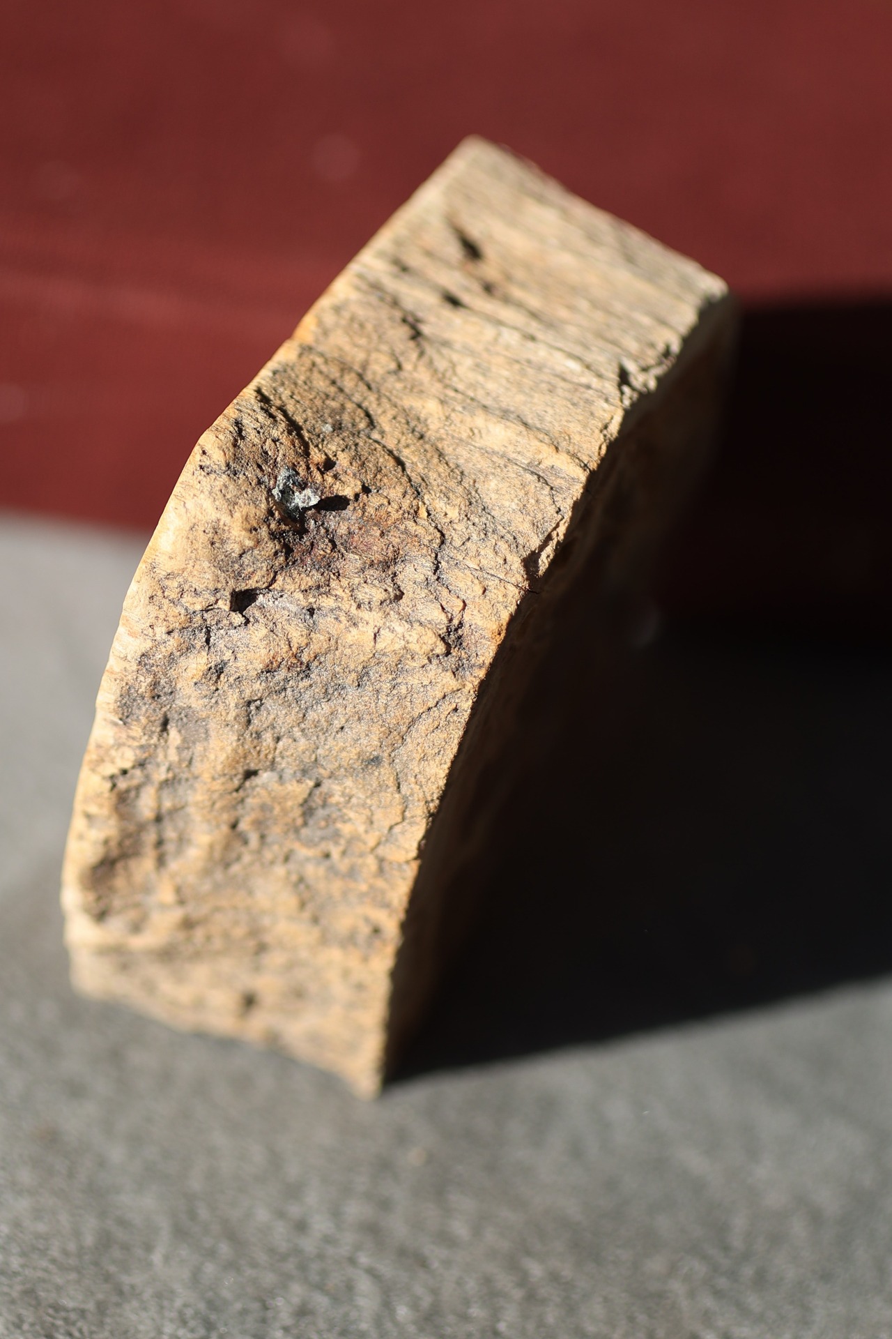 ペトリファイドウッド プレート |  Petrified Wood Plate ◇ 天然石・鉱物・パワーストーン | st00410