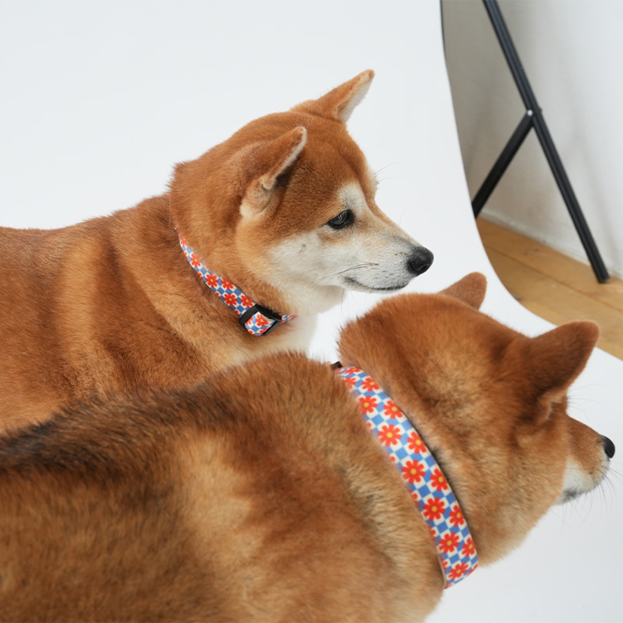 【PUPPYGALLERY公式】ポーカーフェイス・レトロフラワー首輪 XS