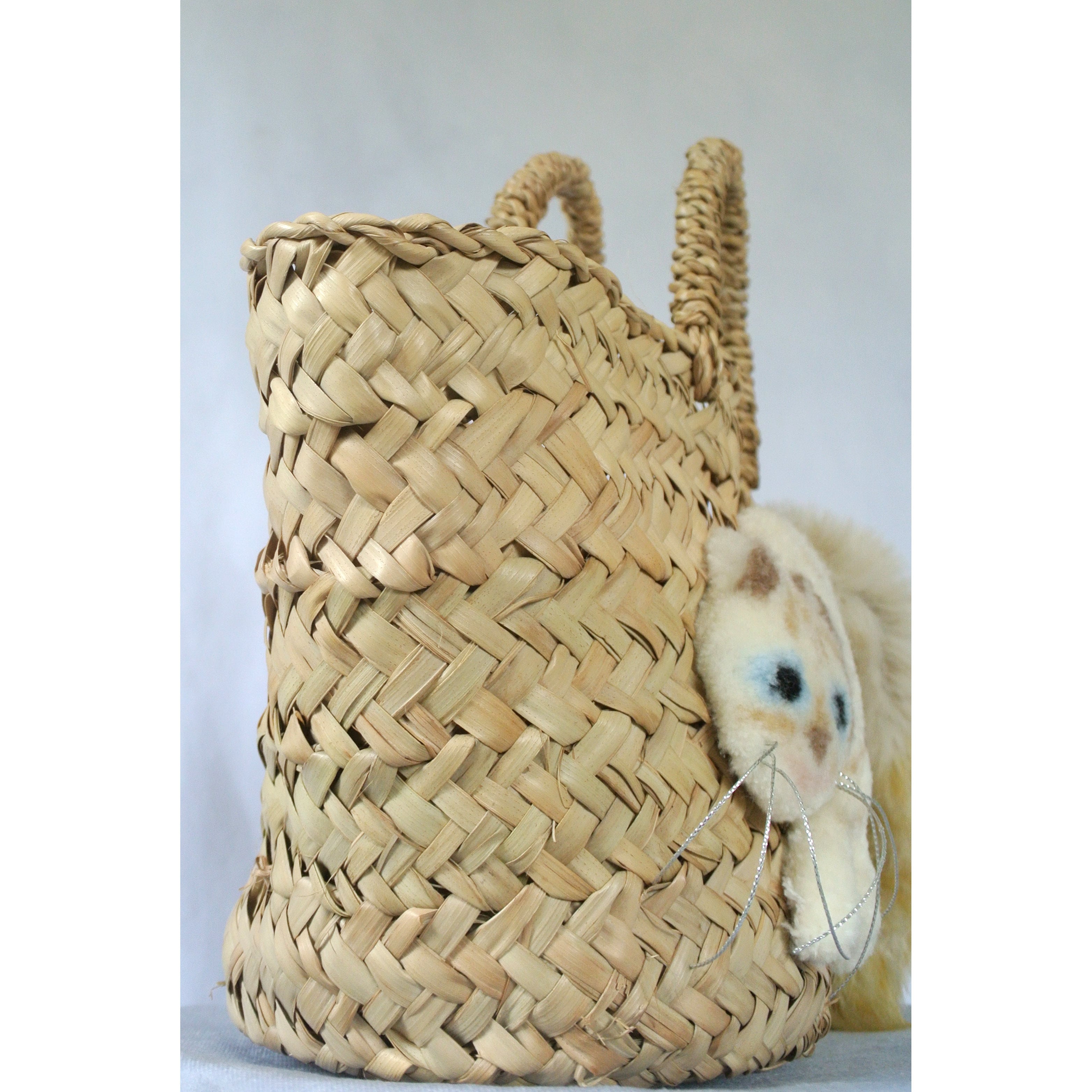 モコモコねこカゴバッグ 茶白シマ | CAT IN DA HOUSE! ON LINE STORE