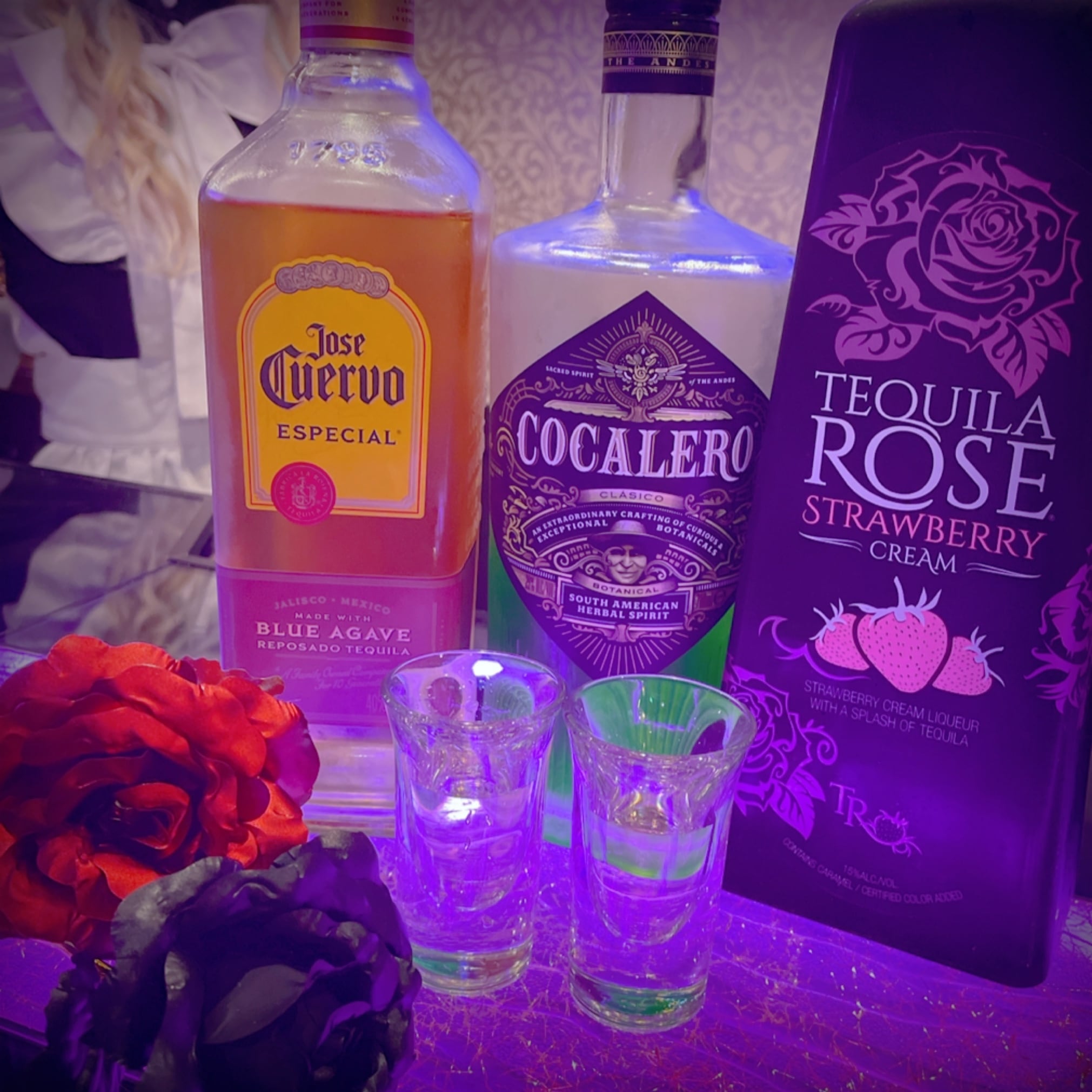 テキーラ観覧車12杯 | Pay ID