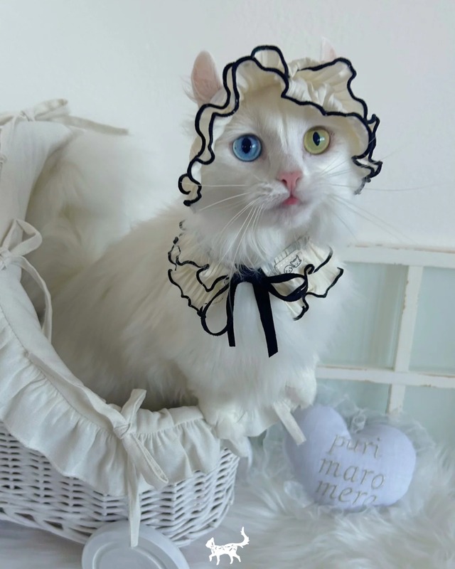 S即納･予約【tak!tak!tak!tak!】Heart hat RED