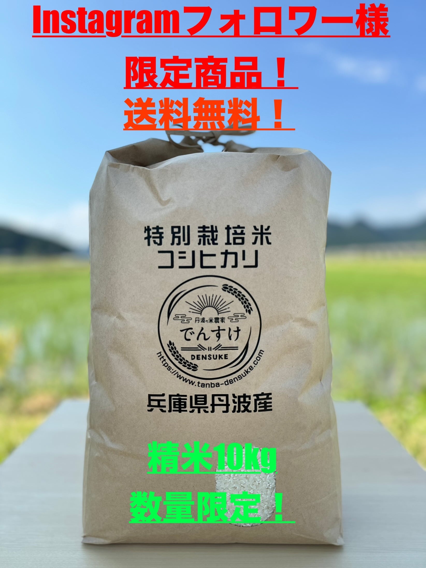 丹波産 コシヒカリ 特別栽培米 10キロ