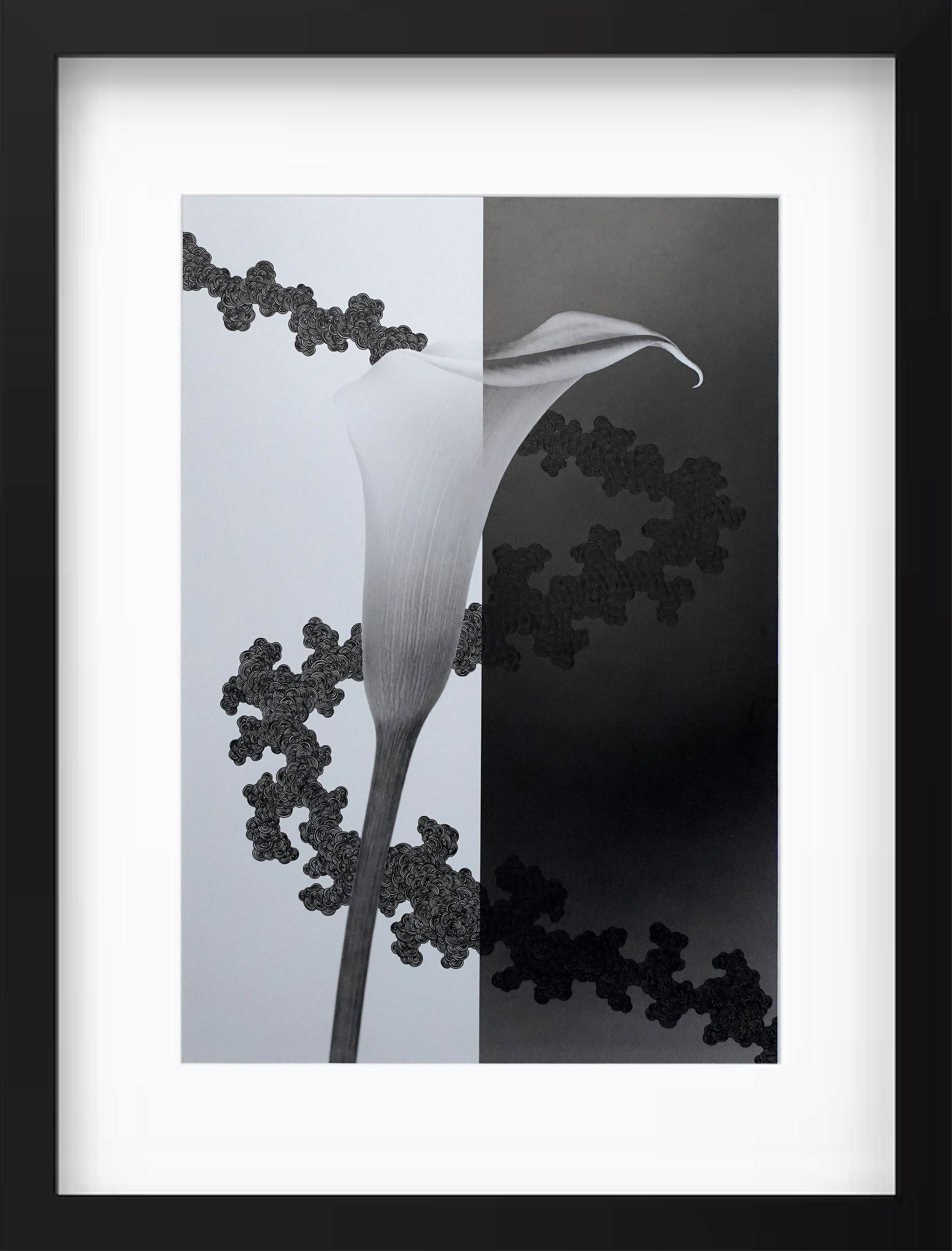 カラー"華麗なる美と執着"#1