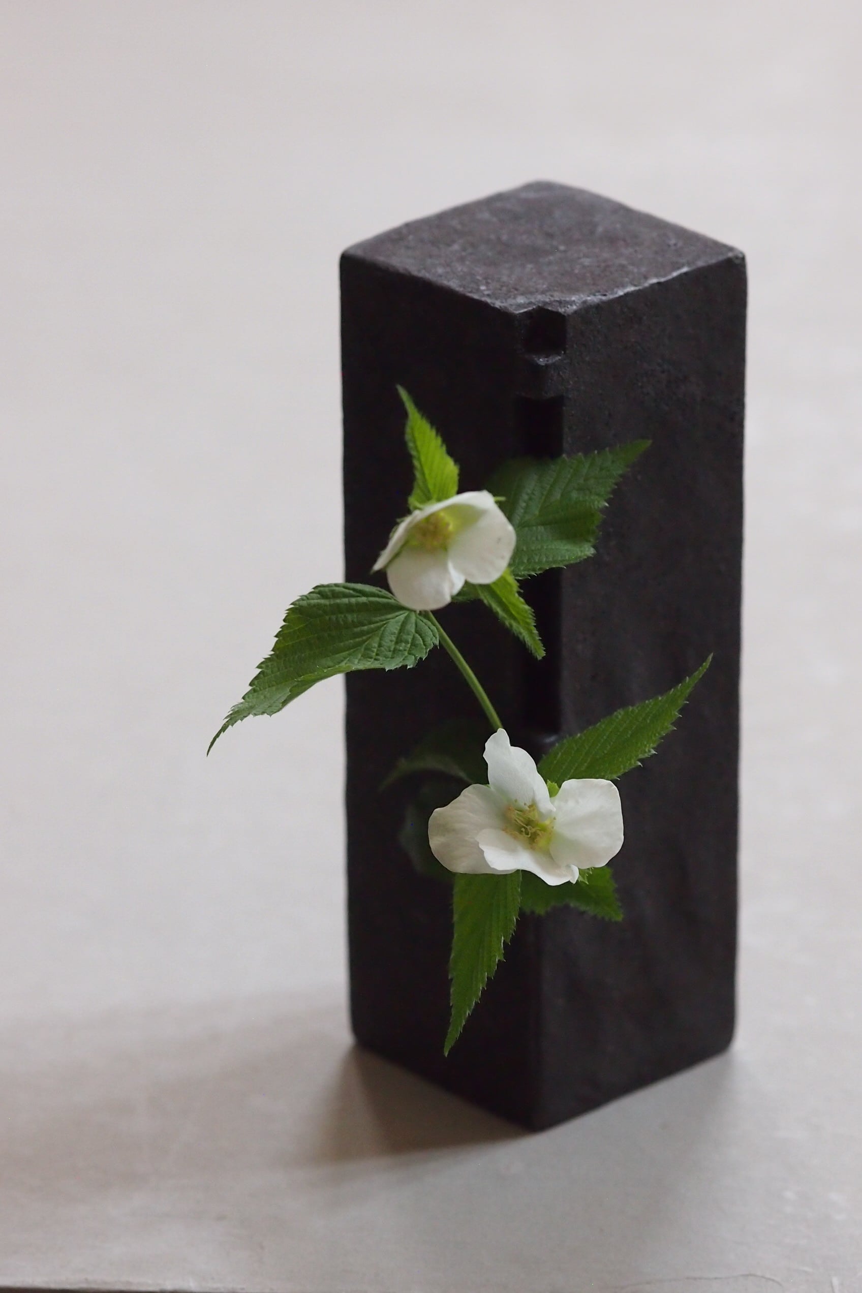 花入れ 11月27日（水）12時よりWEB SHOPにて、『X-RAY FLOWER』フィギュア3種