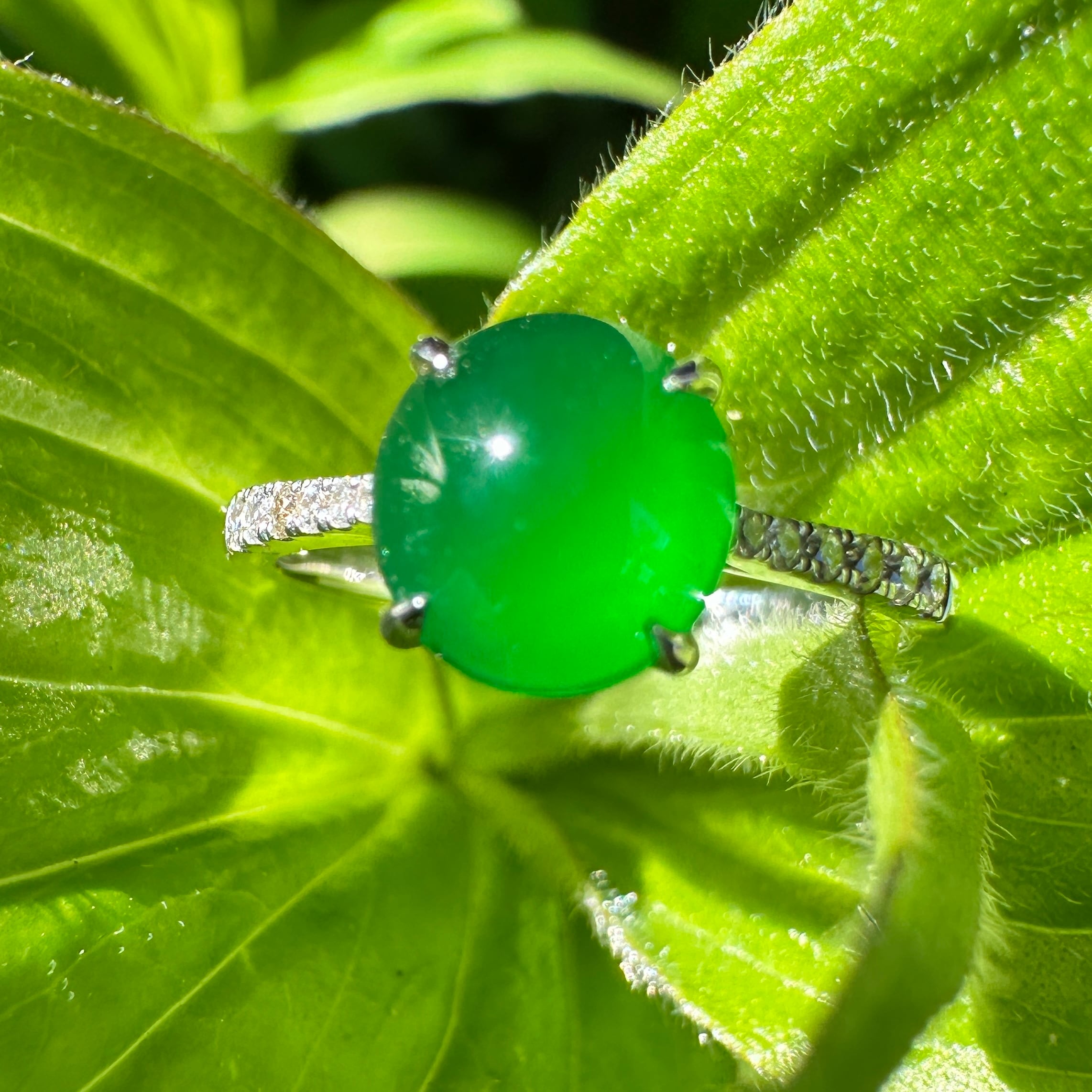 Jade & Diamond WG Ring RC0003 | Victorian Box