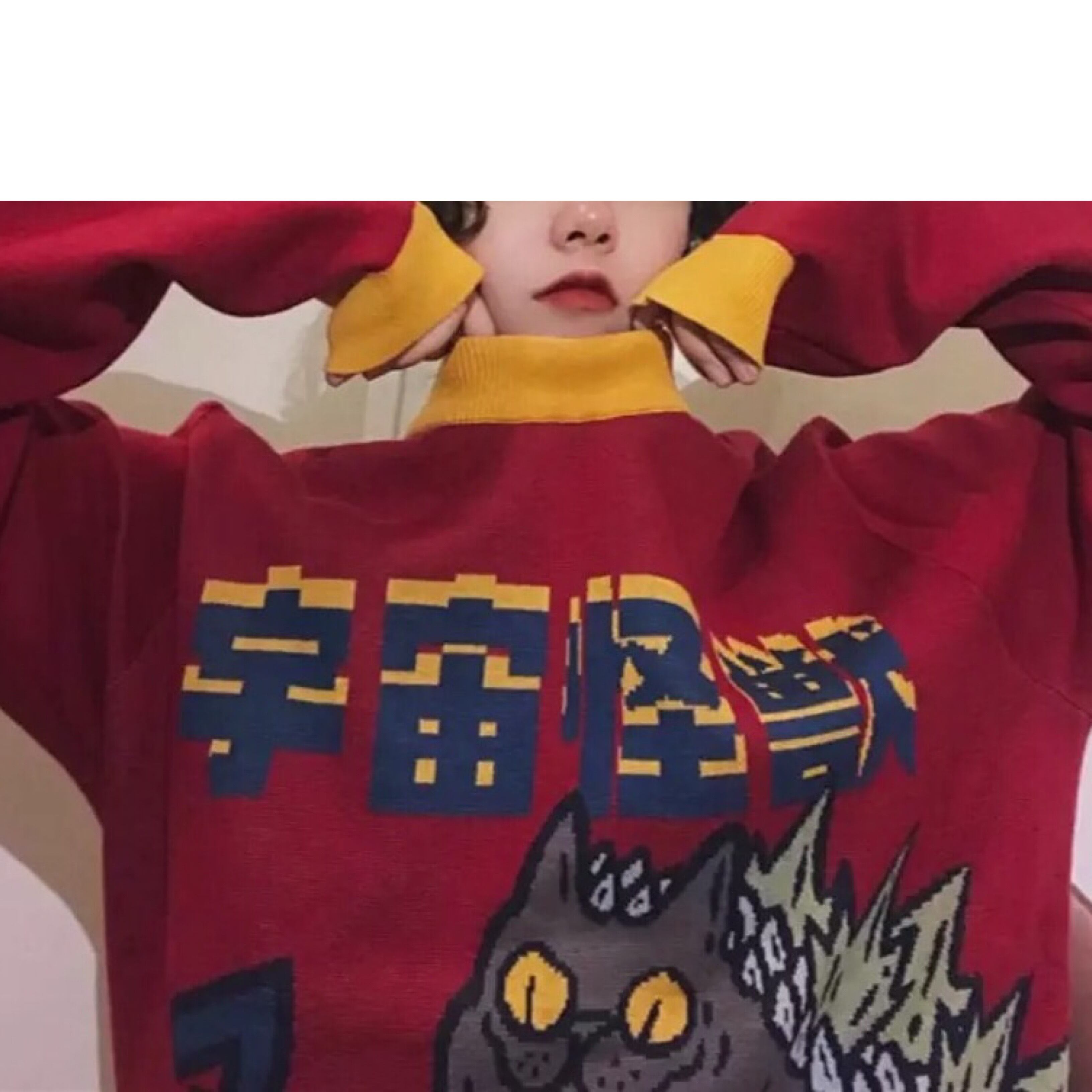 宇宙怪獣 × 猫柄 】昭和レトロ 日本語 / ニット セーター 総柄 長袖 