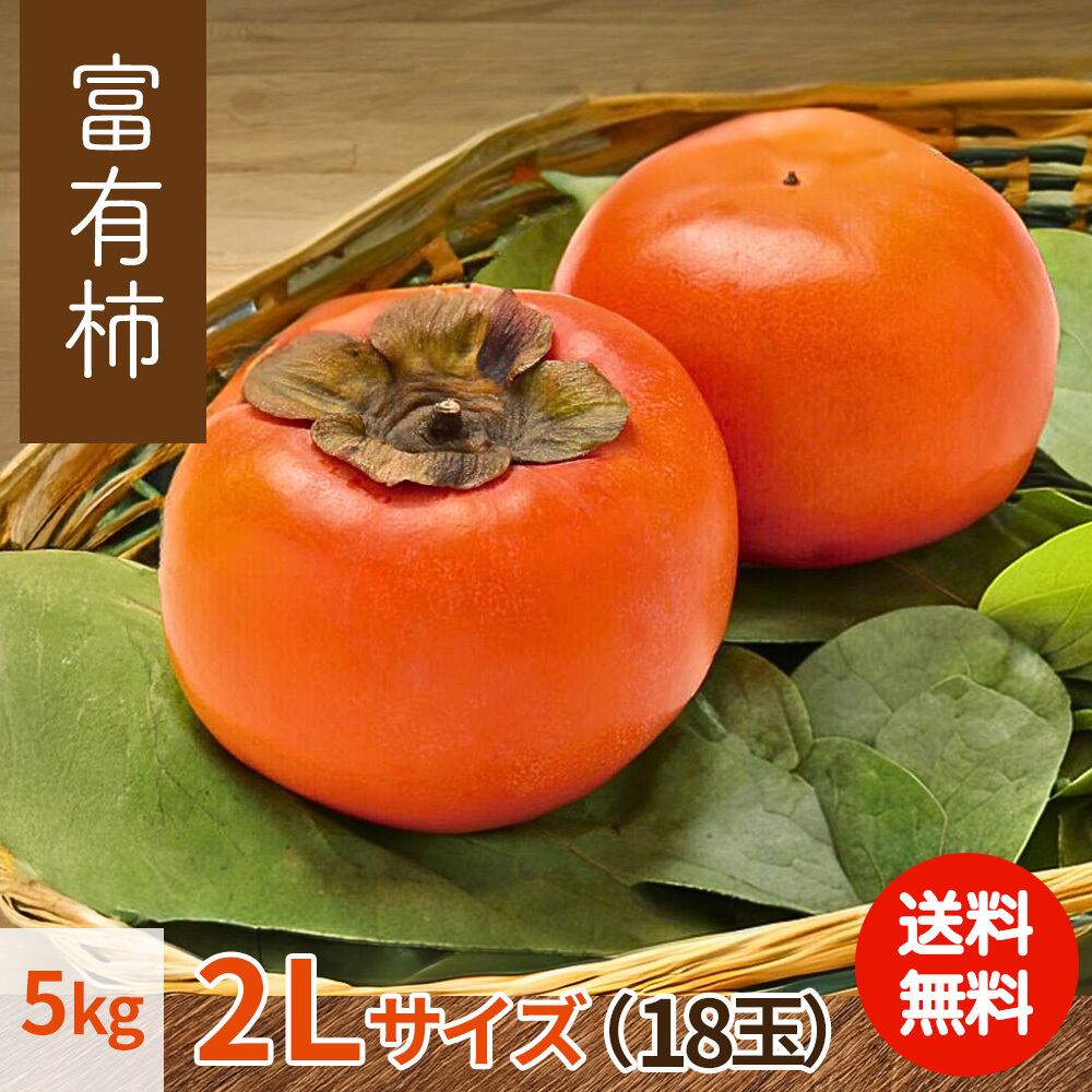 2025年産】【11月下旬発送】富有柿 L 21玉（5kg） | 柿の通販なら柿